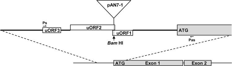 FIG 1