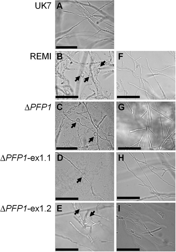 FIG 9