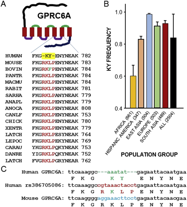 Figure 2