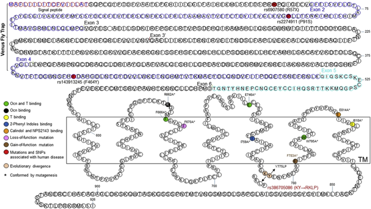 Figure 3