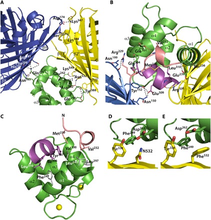 Fig. 2