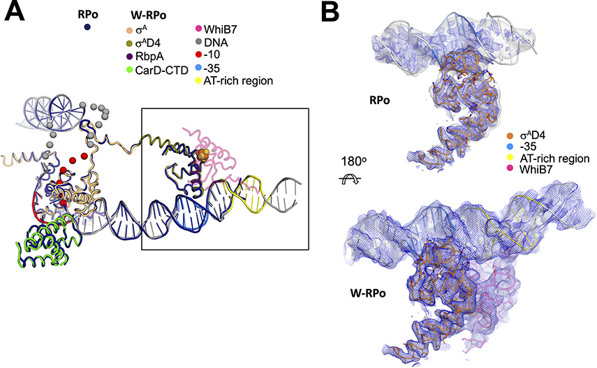 Figure 3.