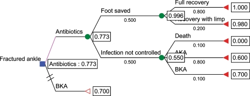 graphic file with name 11606_2009_918_Fig4_HTML.jpg