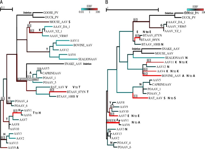 Fig. 6