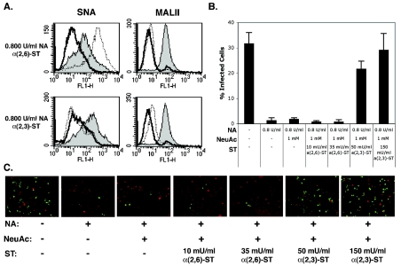 FIG. 2.