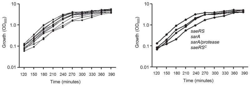 Fig. 11