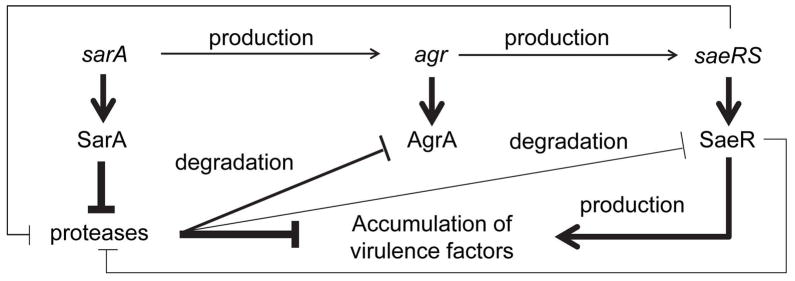 Fig. 12