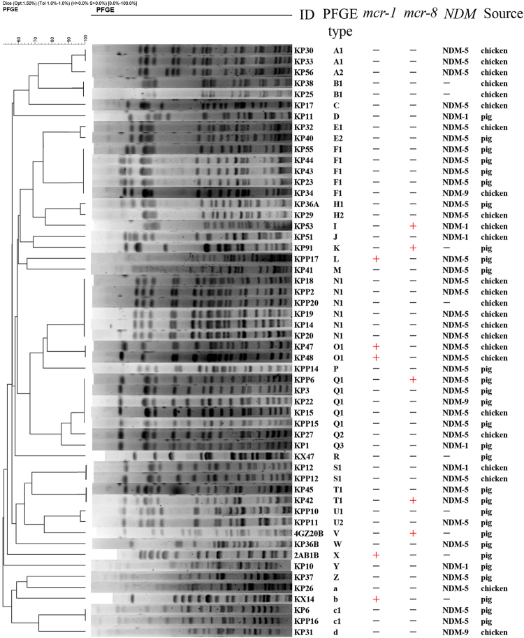 Fig. 6