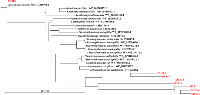 Fig. 7