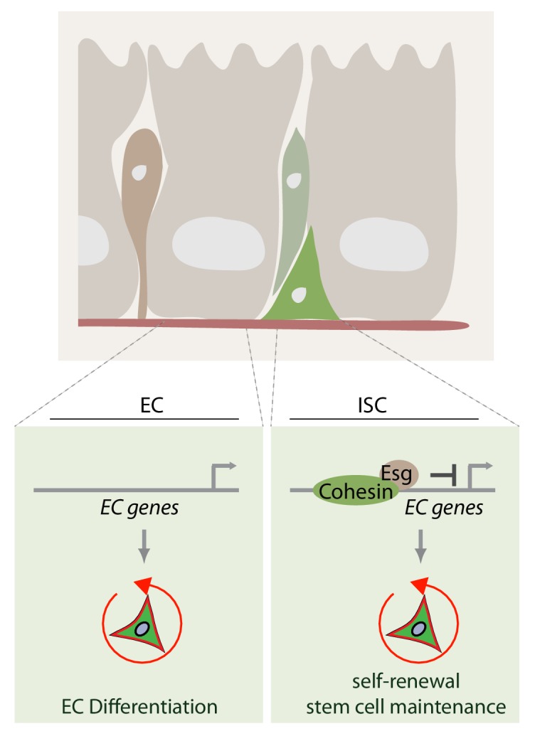 Figure 10.