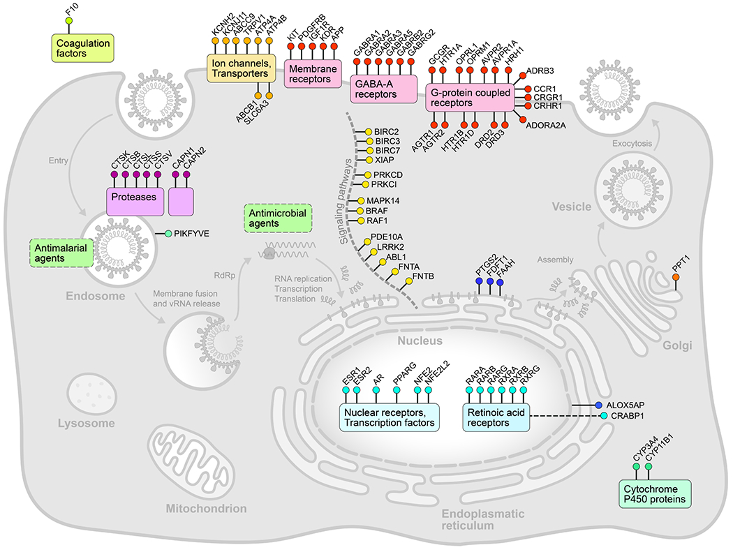 Figure ED5.