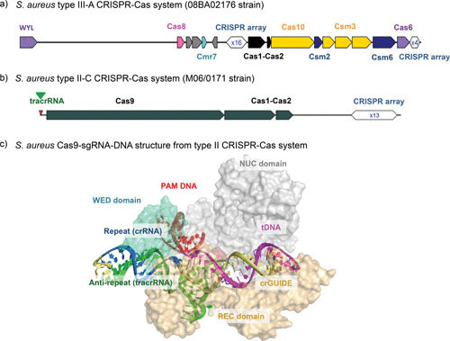 FIGURE 3