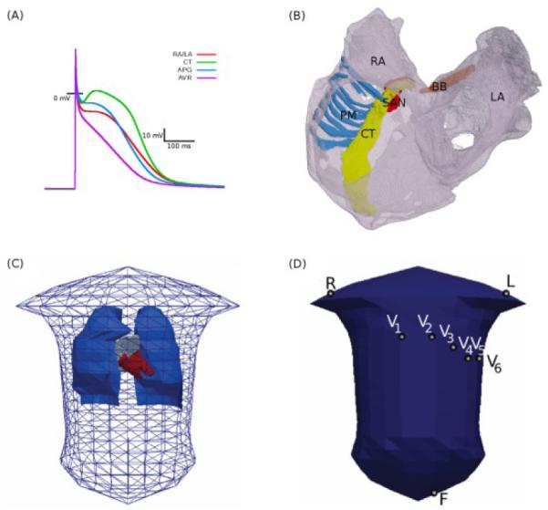 Fig. 1