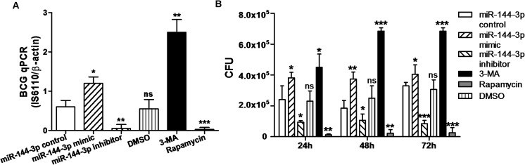 Fig 5