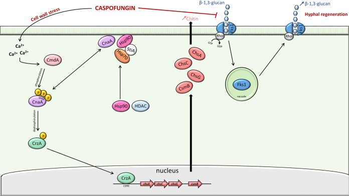 FIG 2