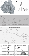 Fig. (4)