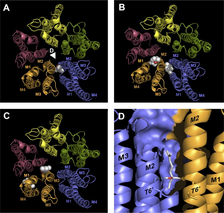 Fig. 7.