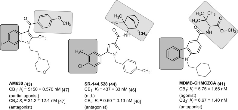 Fig. 7