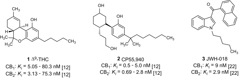 Fig. 1