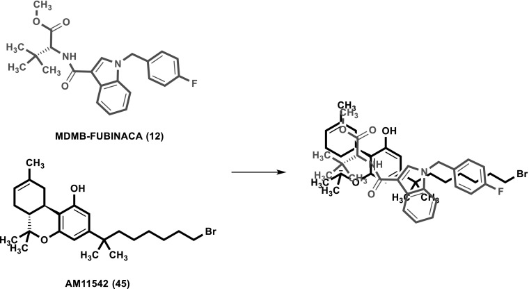 Fig. 9