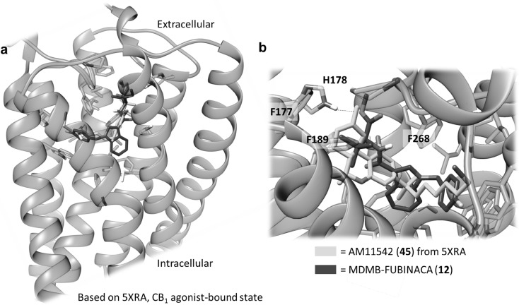 Fig. 8