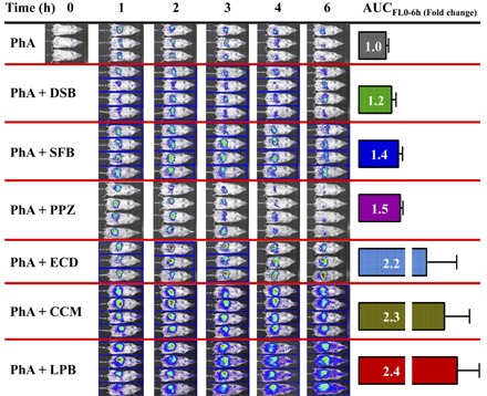 graphic file with name dmd.118.083584absf1.jpg