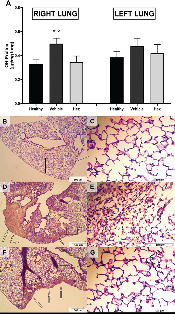 Fig. 4 -