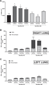 Fig. 2 -