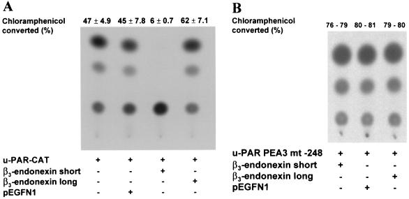 FIG. 8