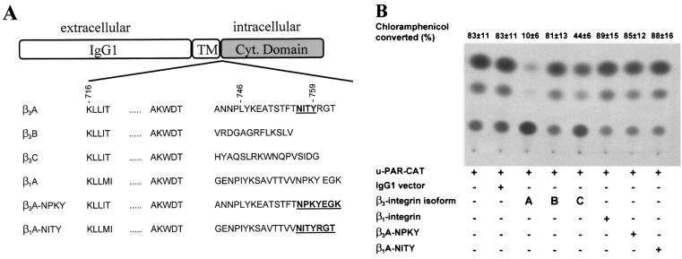 FIG. 7