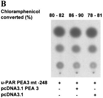 FIG. 6