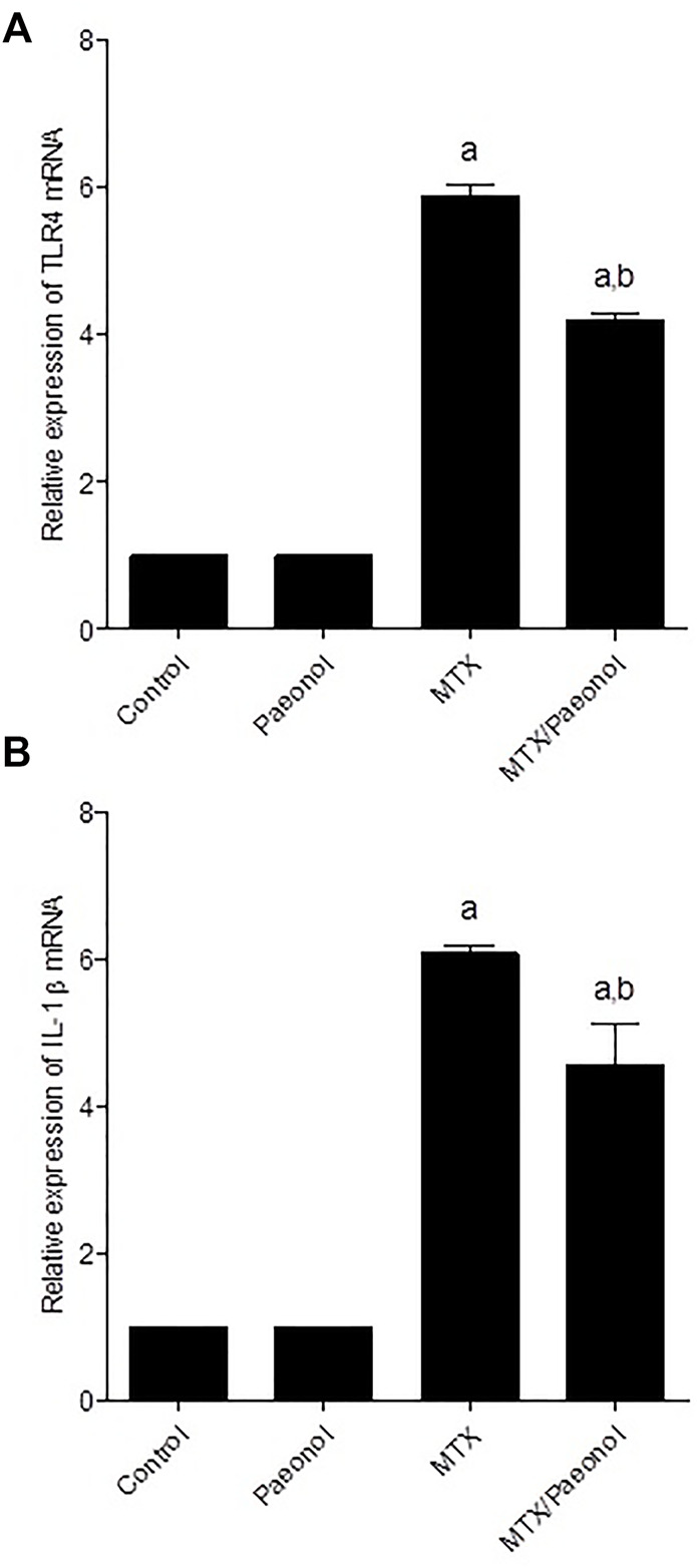 FIGURE 4