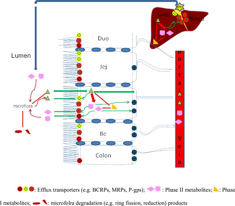 Fig. (2)