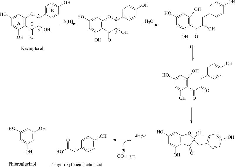 Fig. (1)