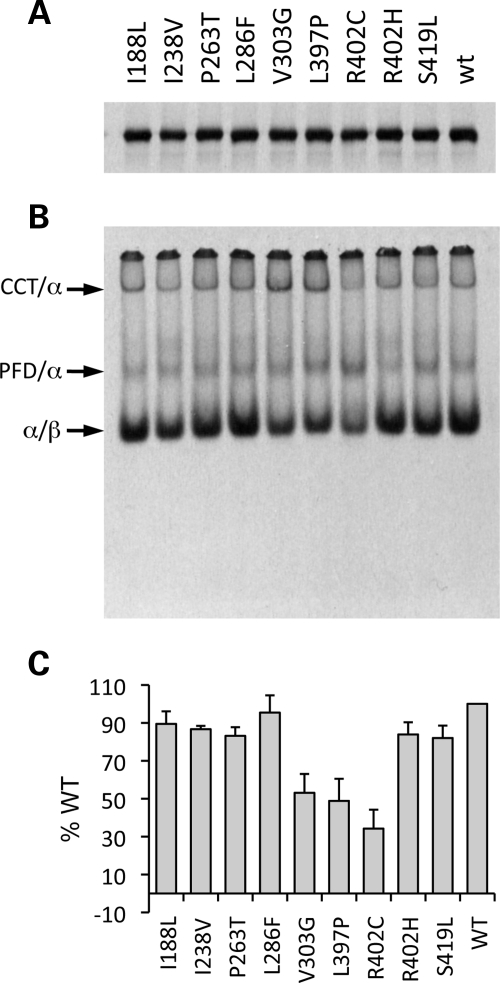 Figure 2.