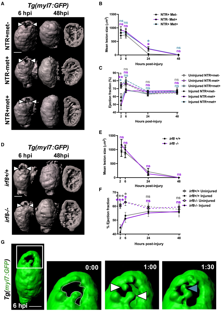 Figure 3