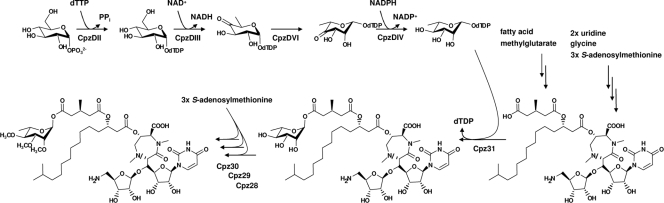 FIG. 6.