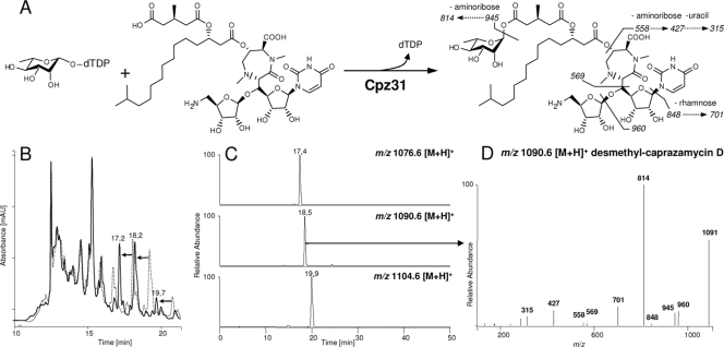 FIG. 3.