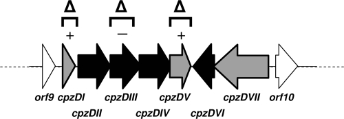 FIG. 4.