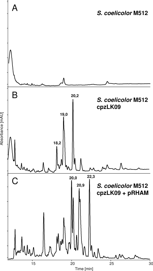 FIG. 2.