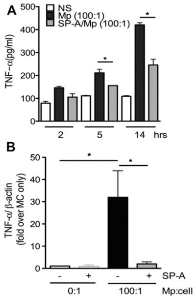 FIG 5