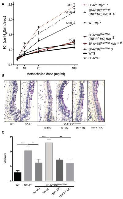 FIG 6