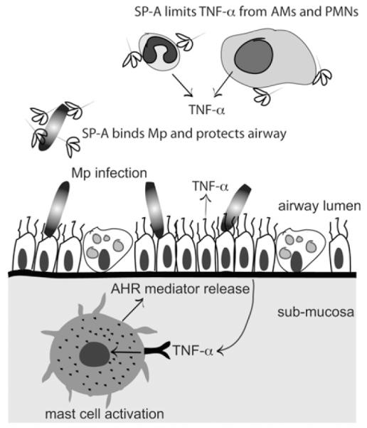 FIG 8