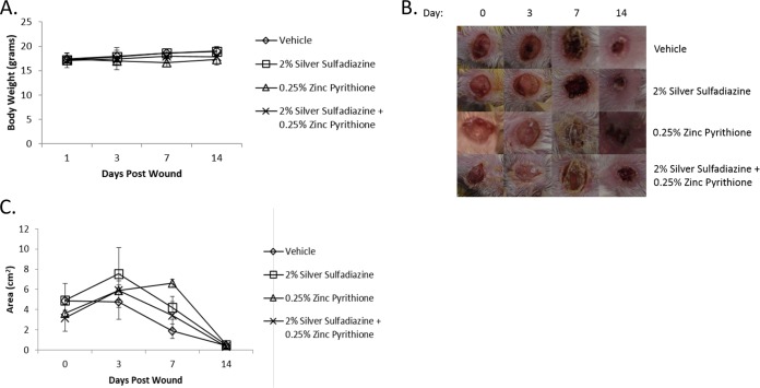 FIG 4 