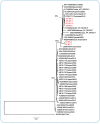 FIGURE 1: