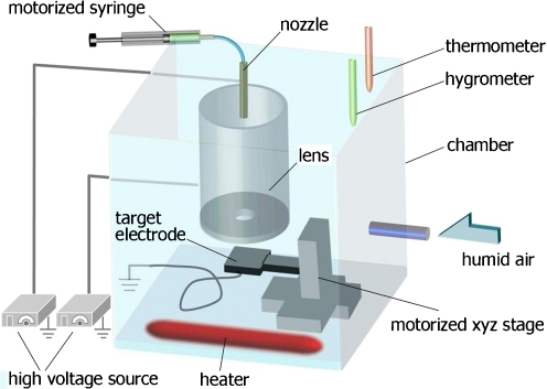 Fig. 1