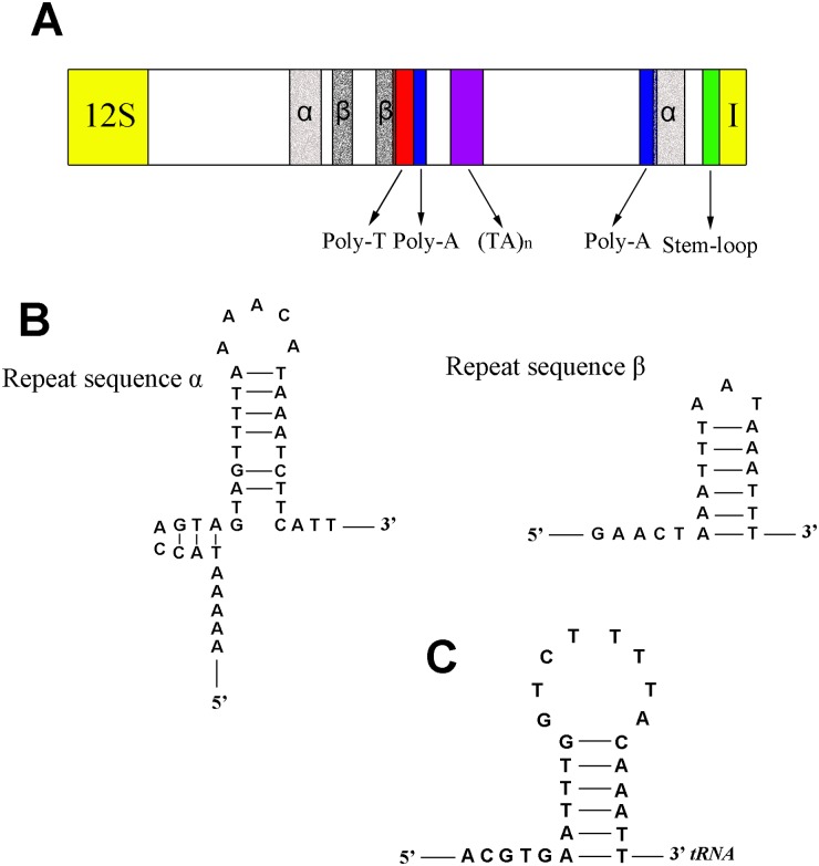 Fig 9