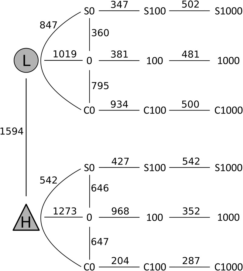 FIGURE 6