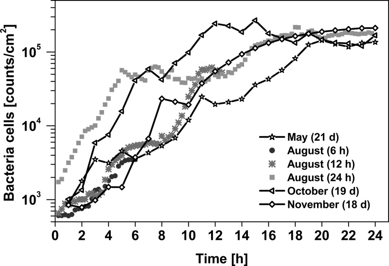 FIG 1