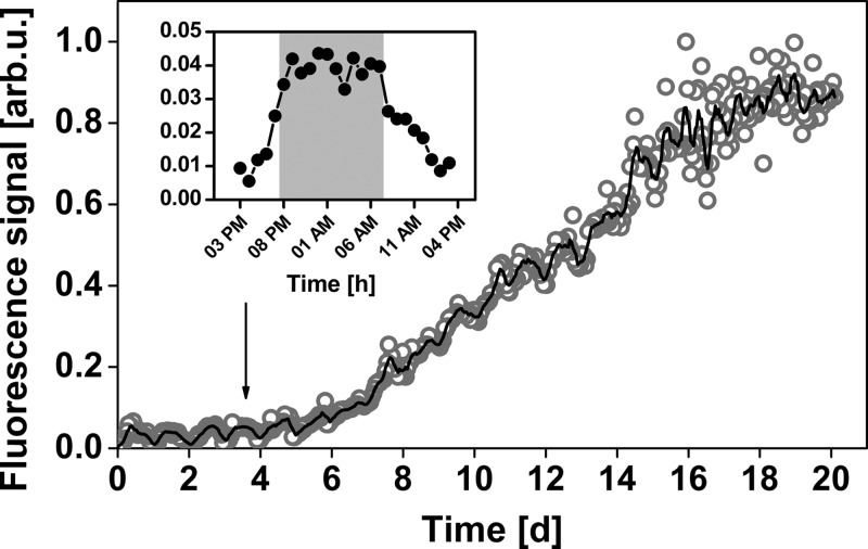 FIG 3